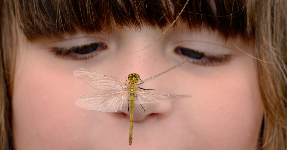  Deutsche Wildtier Stiftung Motiv 