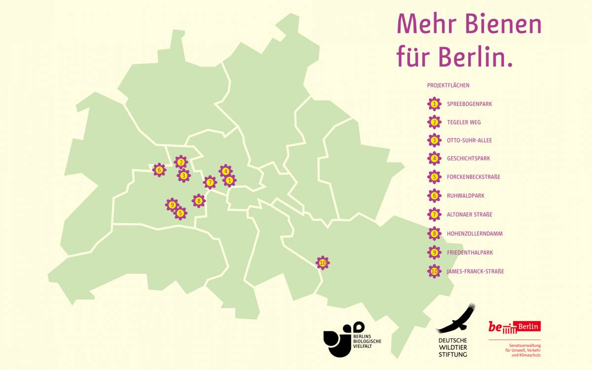 Diese Flächen werden vom Berliner Senat, den Bezirken und der Deutschen Wildtier Stiftung wildbienenfreundlich umgestaltet.