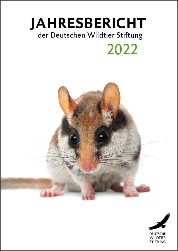 jahresbericht-2022_cover-jahresbericht_2022