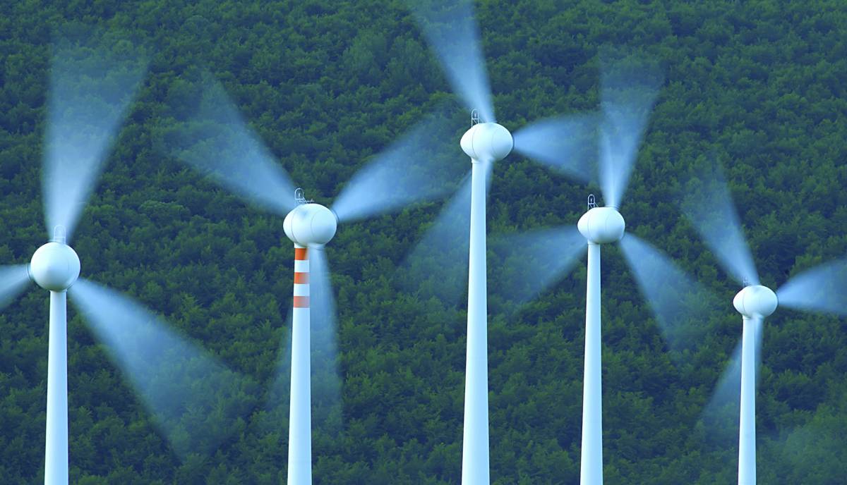 Windenergie und Artenschutz auf Kollisionskurs - Copyright (c) 2017 Pier Martini/Shutterstock