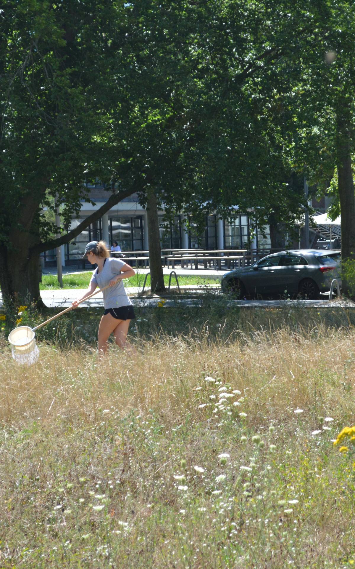 Anja Proske (Deutsche Wildtier Stiftung) bei Kartierungsarbeiten auf einer der Campus-Versuchsflächen in Berlin-Dahlem.  Foto: Privat