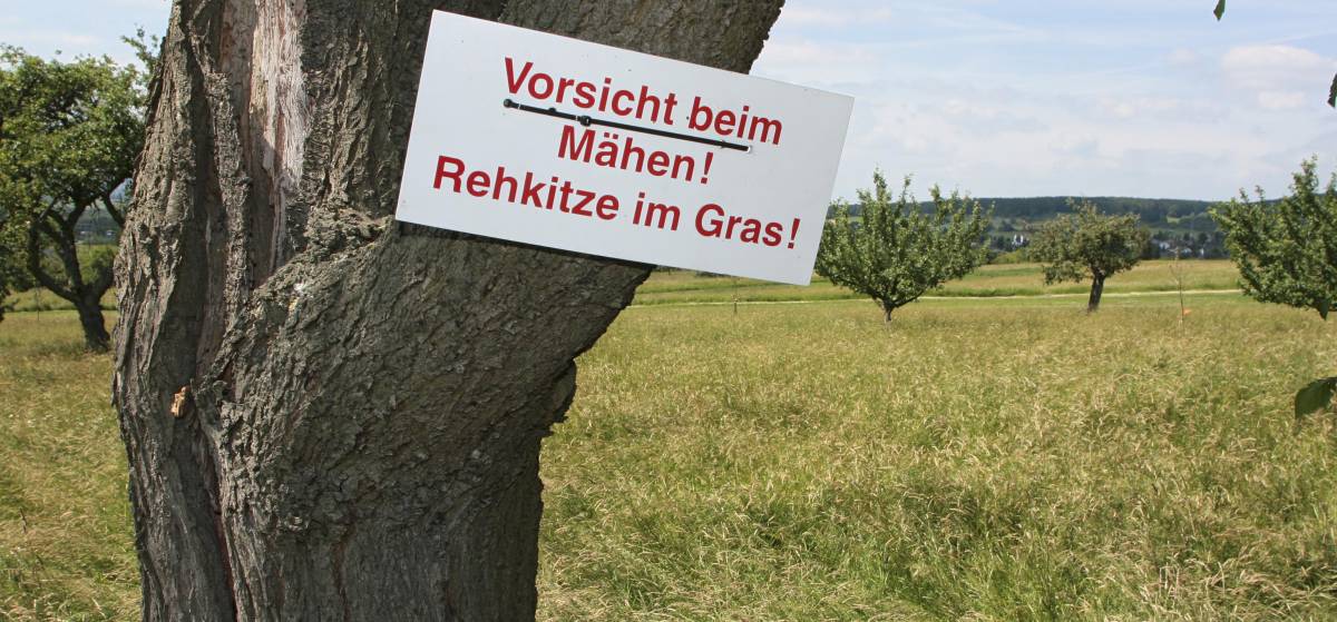 Schild mit Hinweis auf Rehkitze im Gras - Foto: imageBROKER / Kurt Möbus