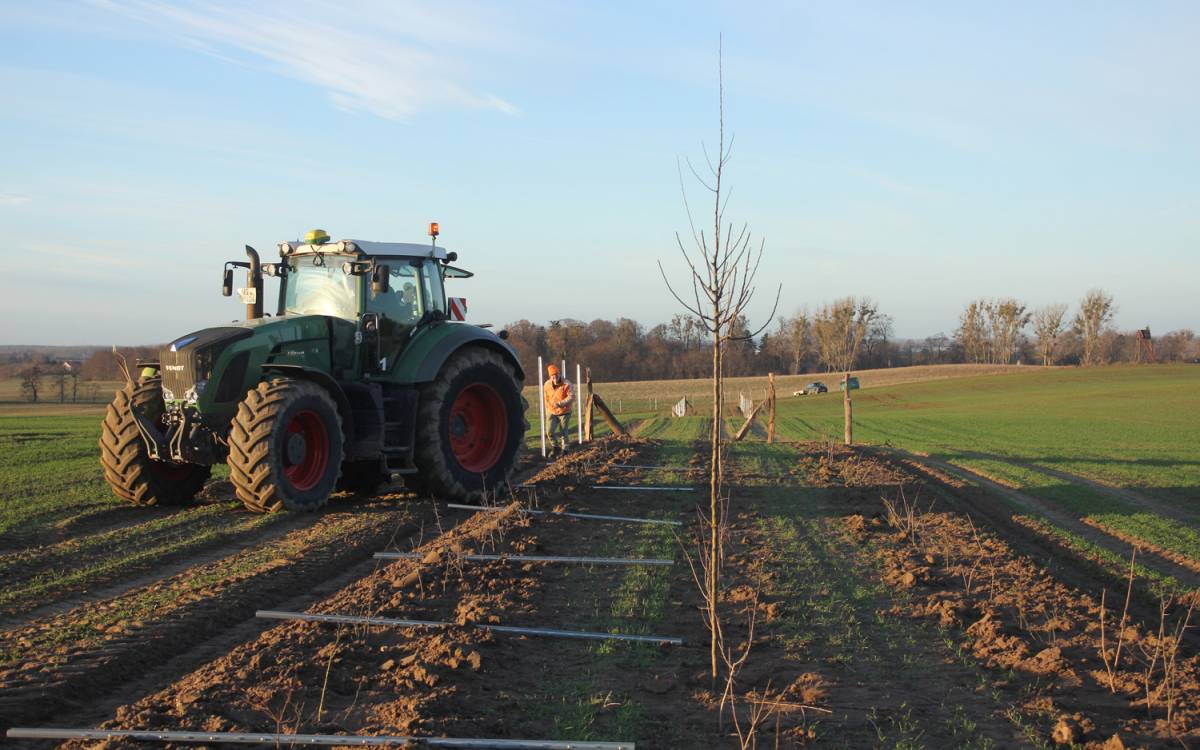 Mit dem Traktor werden die Pflanzungen vorbereitet - Foto: Michael Tetzlaff