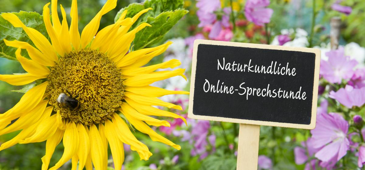 Naturkundliche Online-Sprechstunde