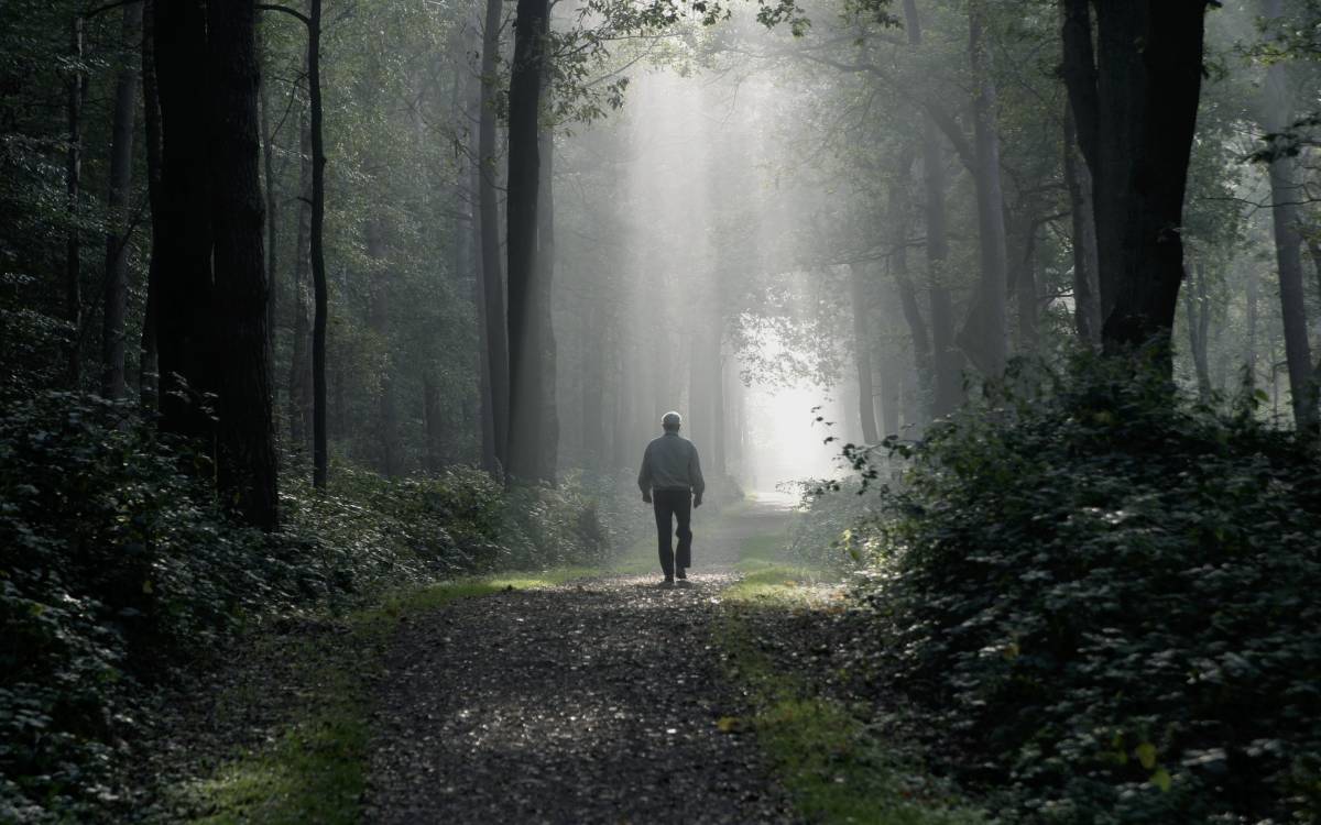 Mann alleine im Wald
