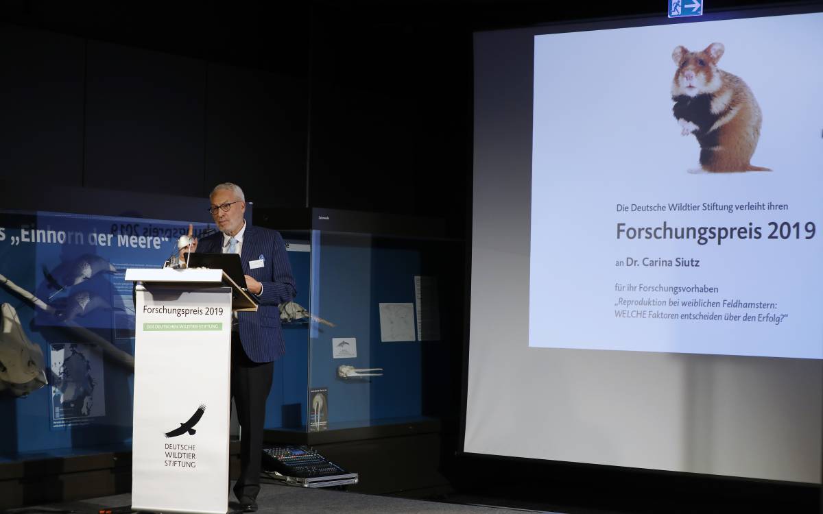 Prof. Dr. Fritz Vahrenholt, Alleinvorstand der Deutschen Wildtier Stiftung. Foto: Andreas Costanzo