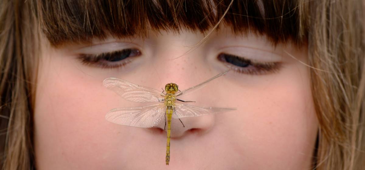 Kind mit Insekt auf der Nase