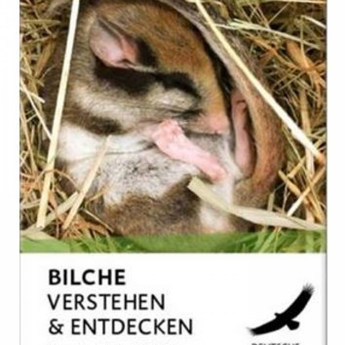 publikationen_bilche-verstehen-cover