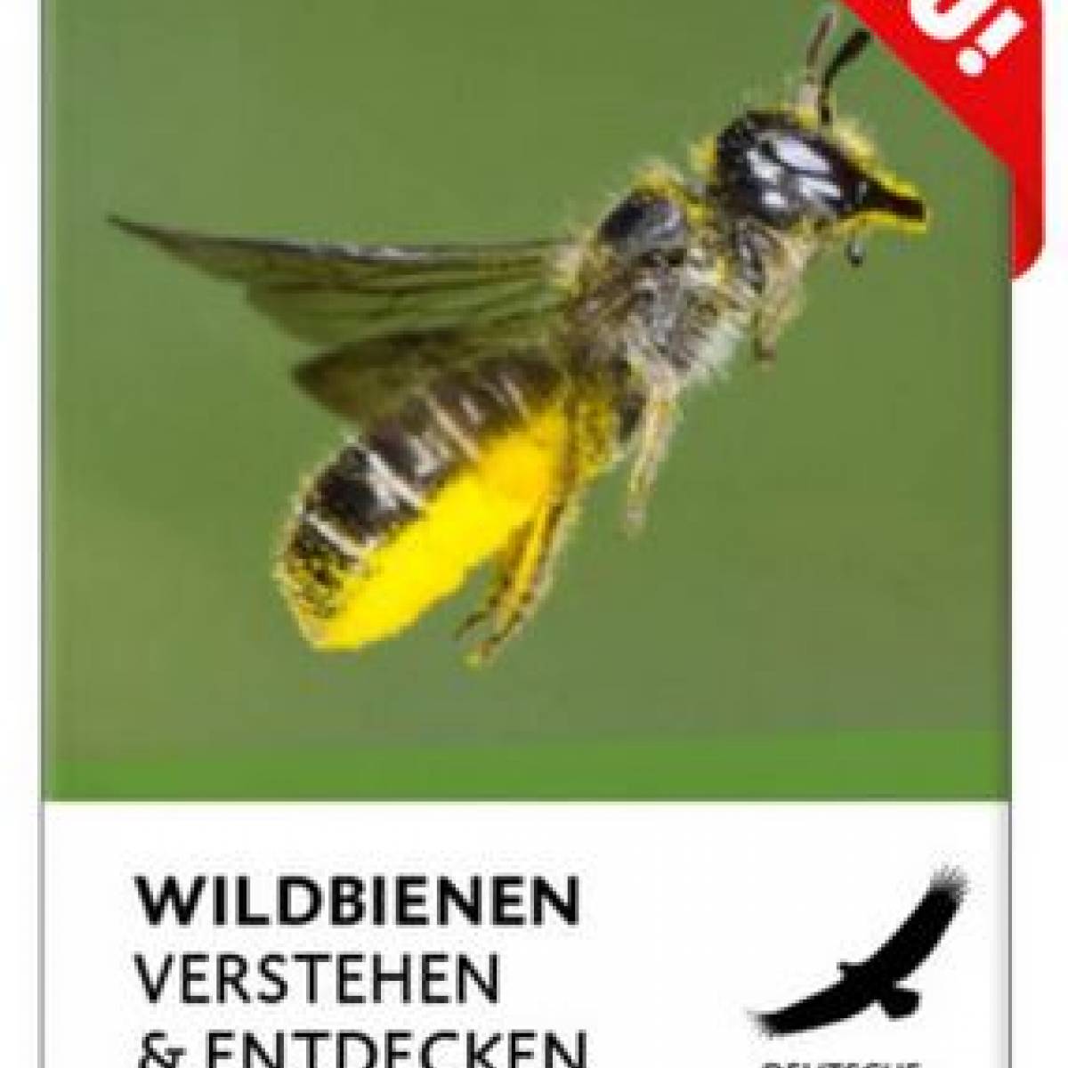 publikationen_cover-wildbienen-verstehen