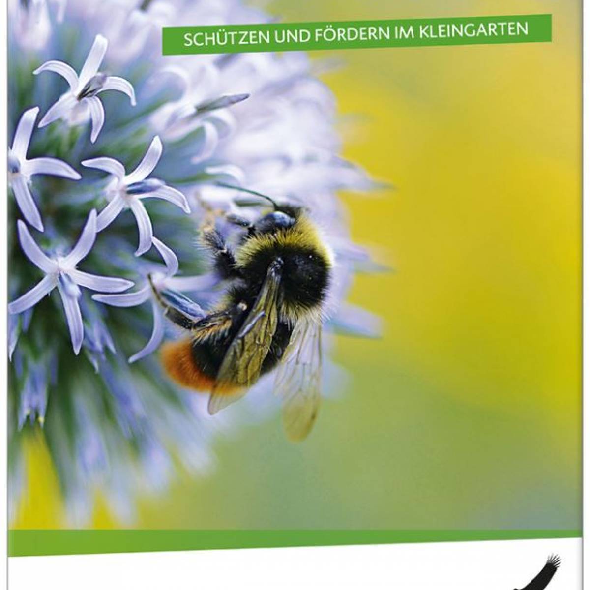 publikationen_cover-wildbienen-im-kleingarten