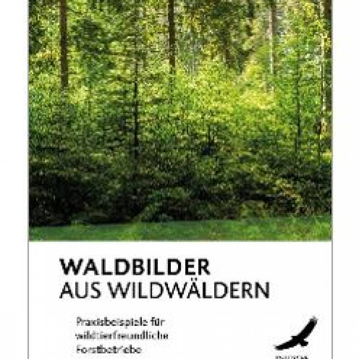 publikationen_cover-waldbilder