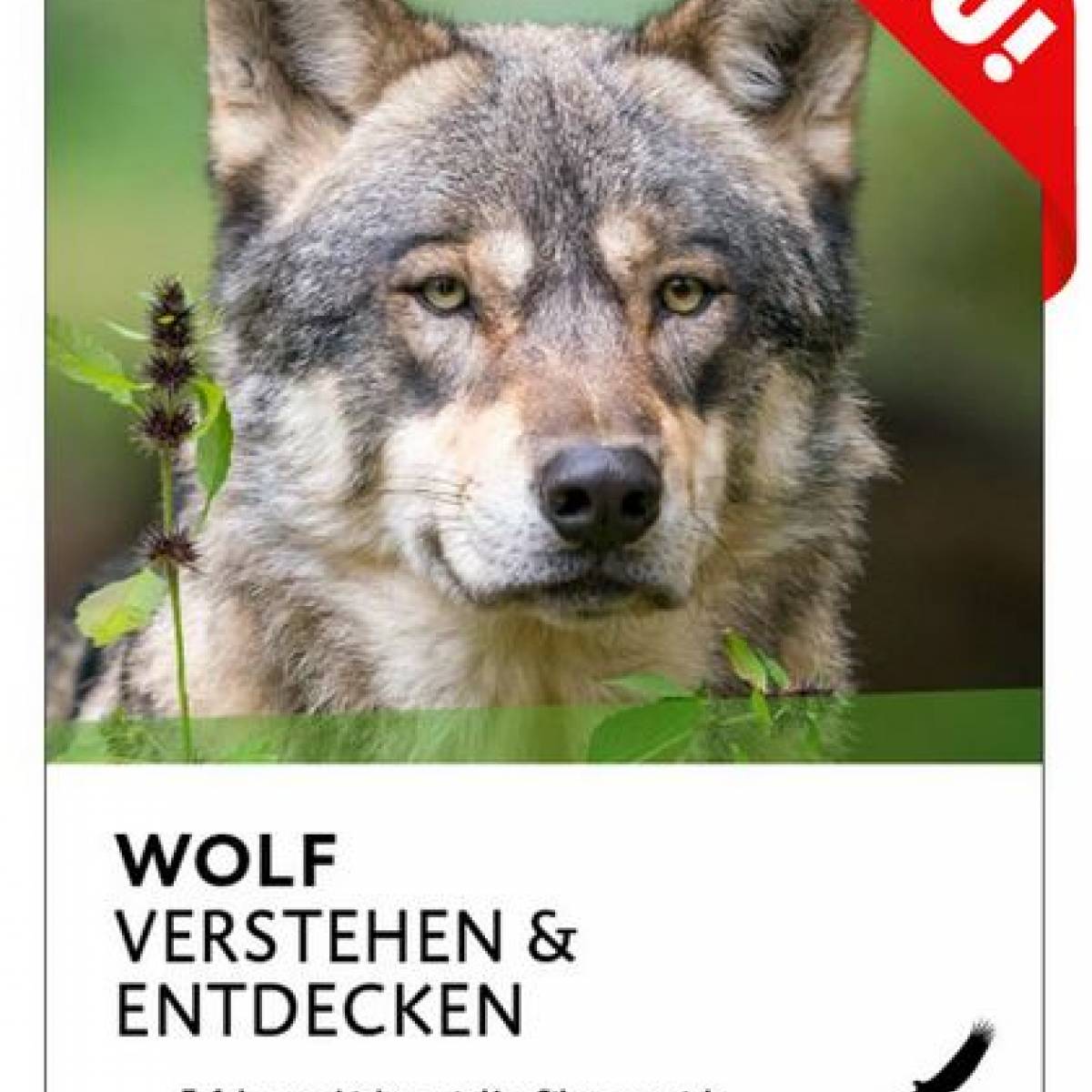 publikationen_cover-wolf