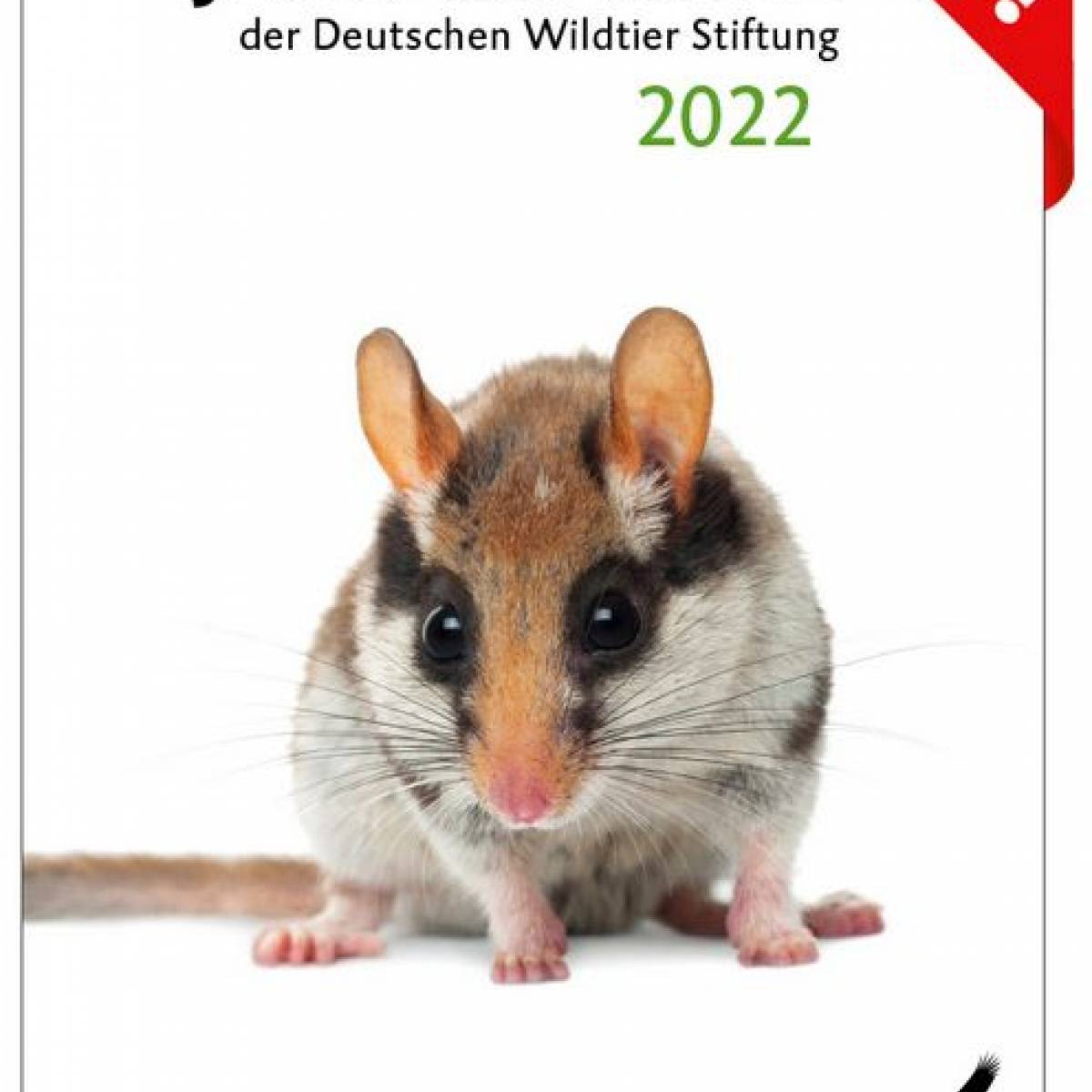 publikationen_cover-jahresbericht-2022