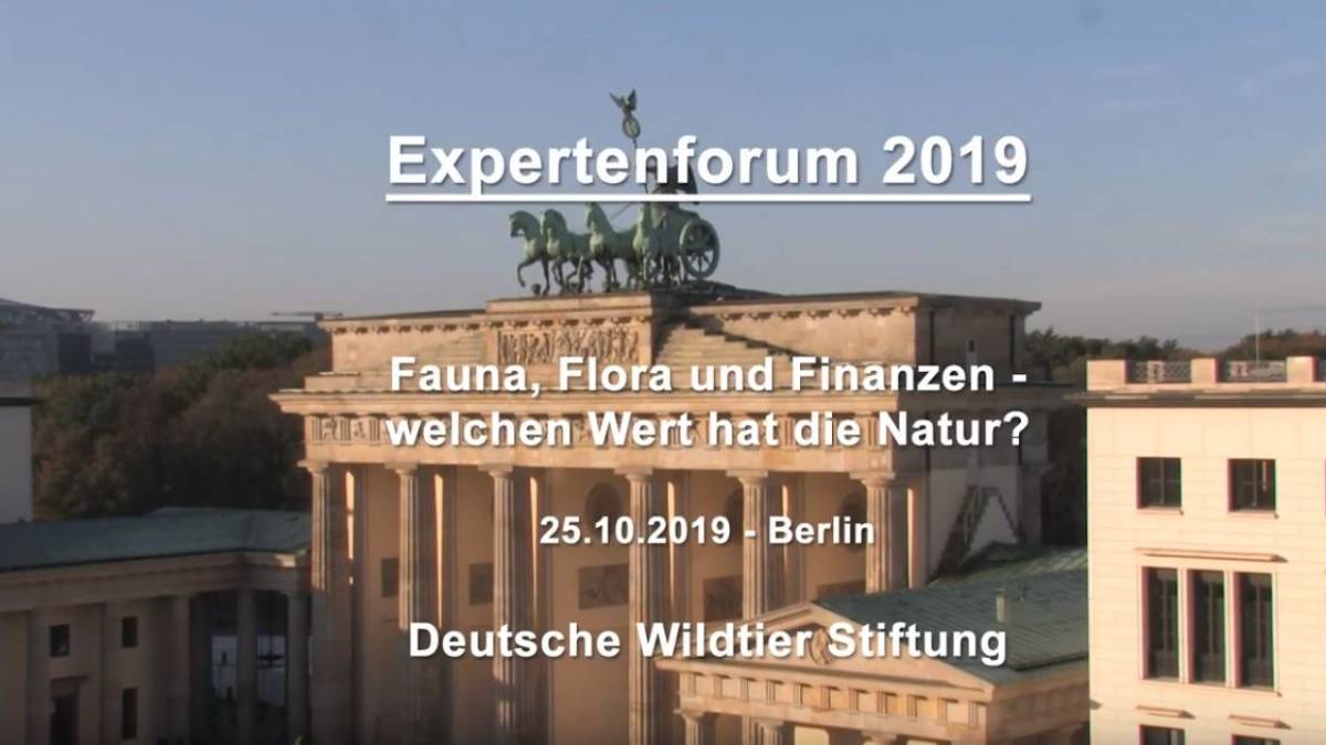 expertenforum-2019