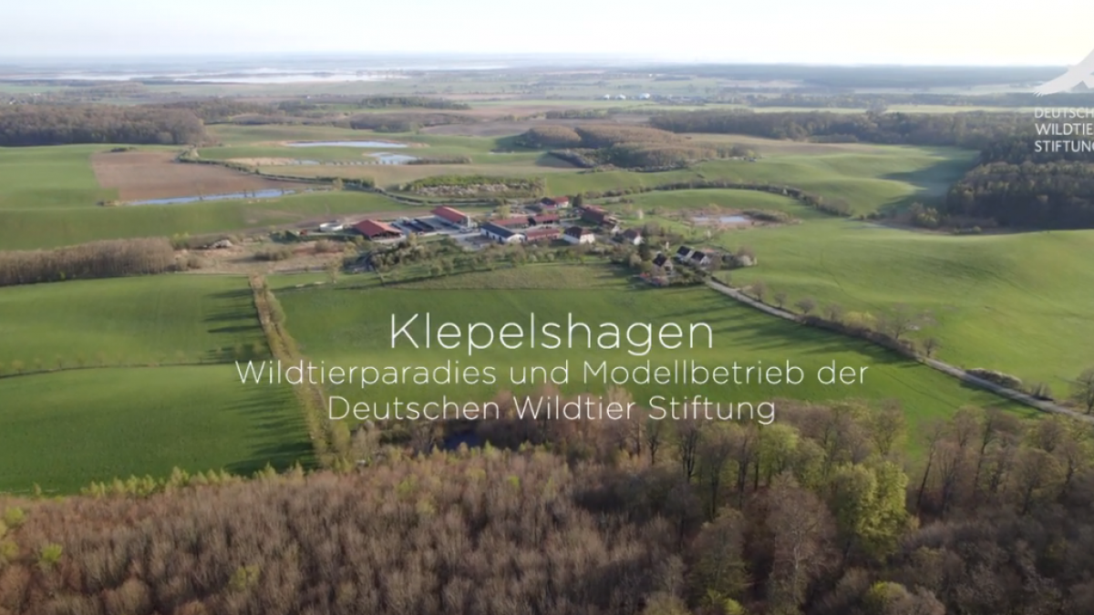 screenshot-2022-12-22-at-11-41-21-25-jahre-gut-klepelshagen-ein-vierteljahrhundert-natur-und-artenschutz