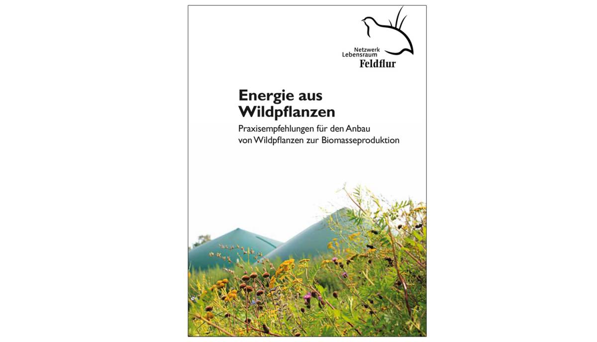 cover-ratgeber_energie-aus-wildpflanzen_2019
