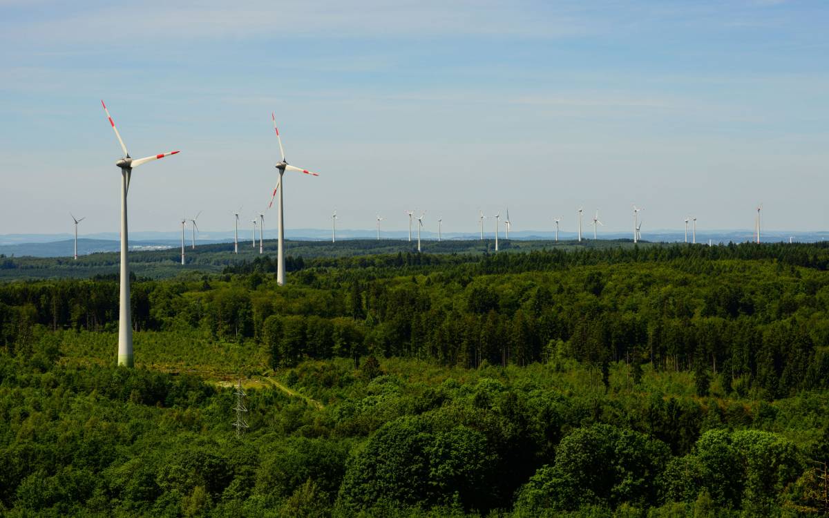 Windenergieanlagen im Lebensraum Wald