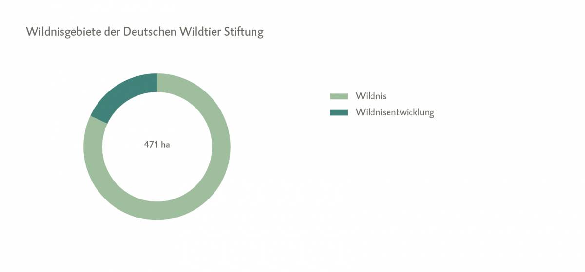 wildnisgebiete-2022_deutsche_wildtier_stiftung